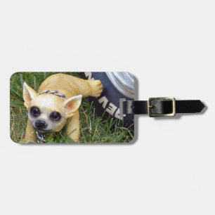 Whiz Kid Luggage Tag