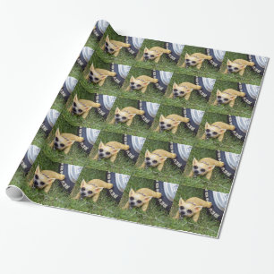 Whiz Kid Wrapping Paper