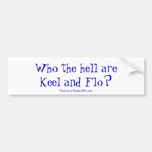 who are these idiots bumper sticker (Front)