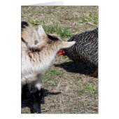 Who Are You? (Front)