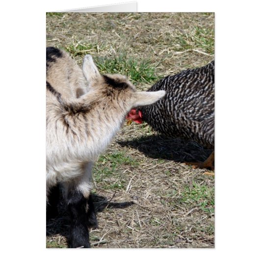 Who Are You? (Front)