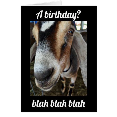 WHO CARES I CARE THE GOAT SAYS HAPPY BIRTHDAY