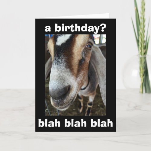 WHO CARES I CARE THE GOAT SAYS HAPPY BIRTHDAY CARD