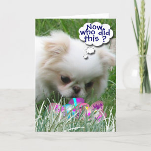 Who Did This? Holiday Card