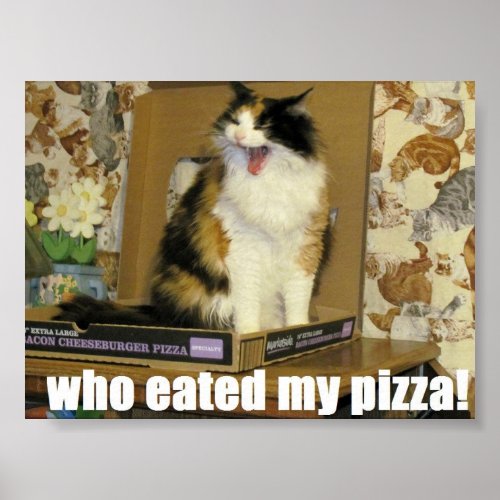 who eated my pizza Funny Cat Meme Poster