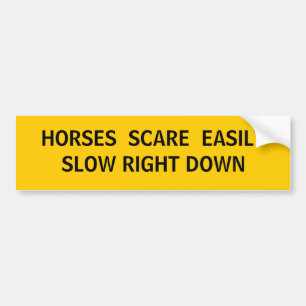 Who else do we share the road with? bumper sticker