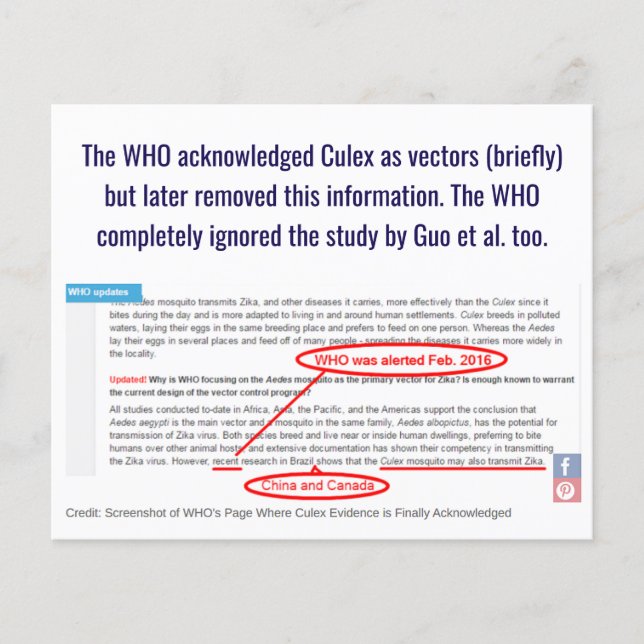 WHO Knows Culex Are Zika Vectors by RoseWrites Flyer (Front)