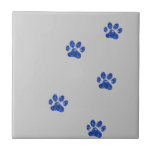 Who left the paw prints??? ceramic tile