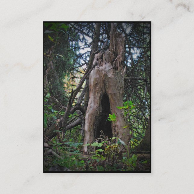 Who lives here? ATC Business Card (Front)