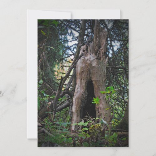 Who Lives There? Halloween Invitation