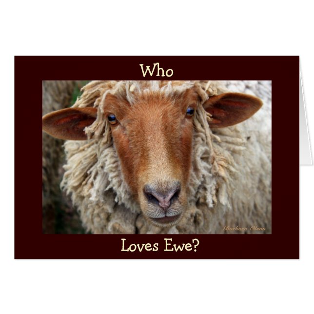 Who Loves Ewe? I wooly do: Valentine/Birthday (Front Horizontal)