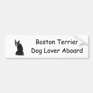 Who Me Boston Terrier Dog Bumper Sticker