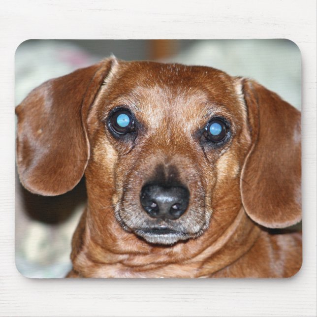 Who Me Mouse Pad (Front)