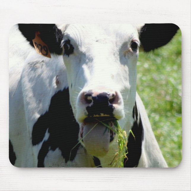 "Who Me" Mouse Pad (Front)