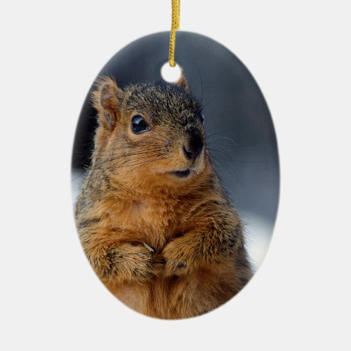 Who Me Squirrel Ceramic Ornament