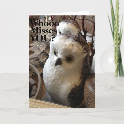 WHO MISSES YOU_WE DO OWLS HUMOR GROUP CARD