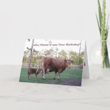 Who Mooo It Was Your Birthday? Cow Birthday Card by CatsEyeViewGifts at Zazzle