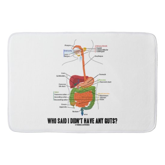 Who Said I Didn't Have Any Guts? Digestive System Bath Mat