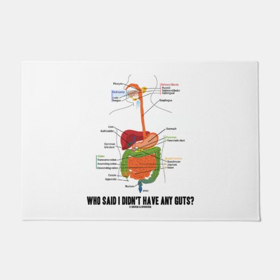 Who Said I Didn't Have Any Guts? Digestive System Doormat
