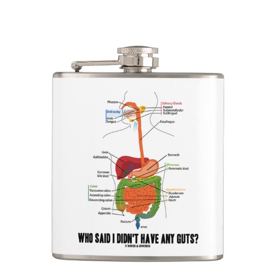 Who Said I Didn't Have Any Guts? Digestive System Hip Flask