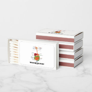 Who Said I Didn't Have Any Guts? Digestive System Matchboxes