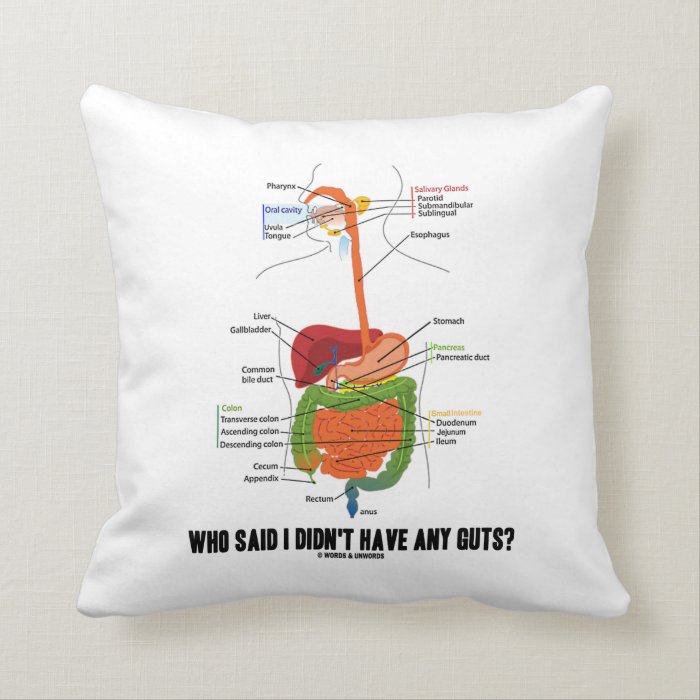 Who Said I Didn't Have Any Guts? Digestive System Pillows