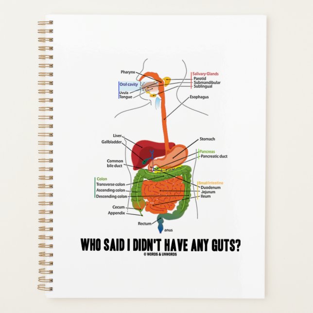 Who Said I Didn't Have Any Guts? Digestive System Planner (Front)