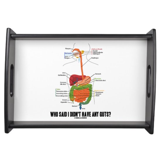 Who Said I Didn't Have Any Guts? Digestive System Serving Tray