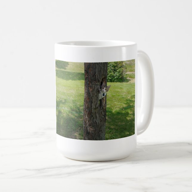 Who Took The Ladder 00 Coffee Mug (Front Right)