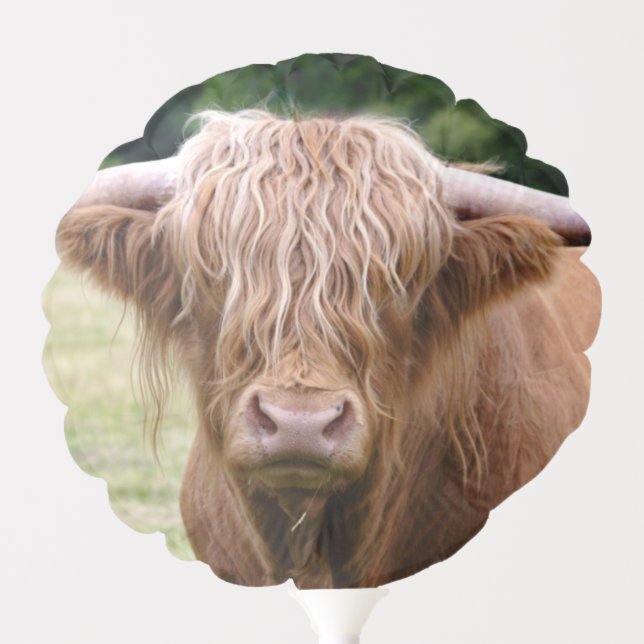 Who Turned the Lights Out Balloon (Front)