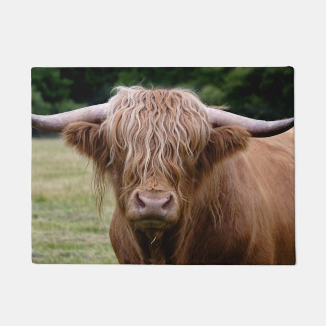 Who Turned the Lights Out Door Mat (Front)