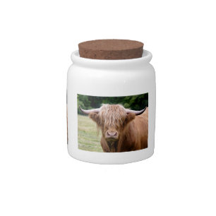 Who Turned the Lights Out Jar