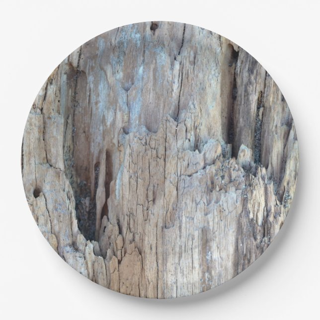 Who Wants to Eat on Some Driftwood Paper Plates (Front)