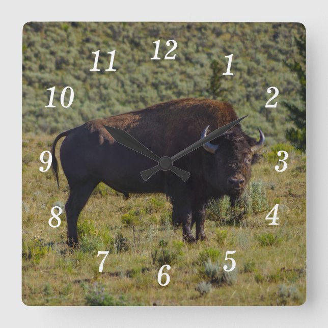Who You Looking At Wall Clock (Front)