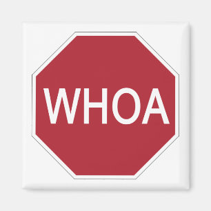 Whoa Magnet