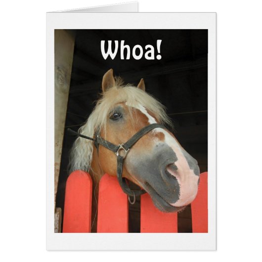 'WHOA SAY THE HORSE' HEADING FOR THE BIG "50" (Front)