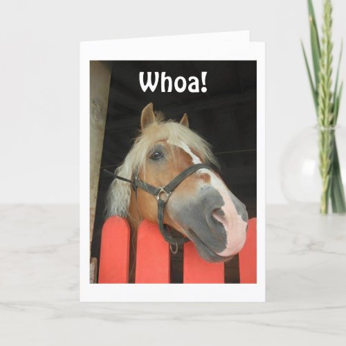 WHOA SAY THE HORSE MERRY CHRISTMAS TO YOU HOLIDAY CARD