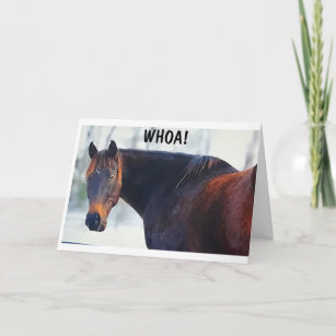 WHOA SAYS THIS COOL HORSE & *CONGRATULATIONS TOO* CARD