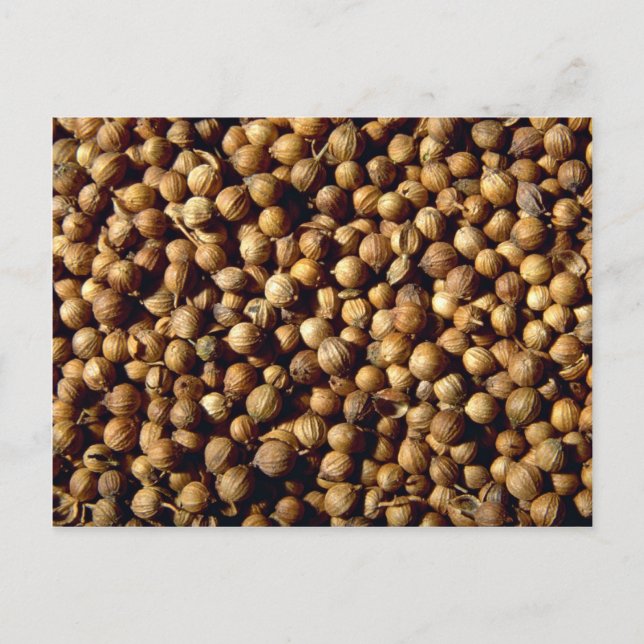 Whole coriander seeds postcard (Front)