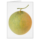 Whole musk melon (Front)