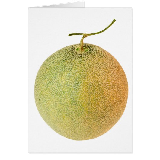 Whole musk melon cards (Front)