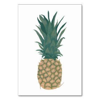 Whole pineapple reading flashcards for adults