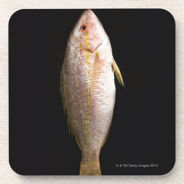 Whole Sea Bass Coaster (Front)