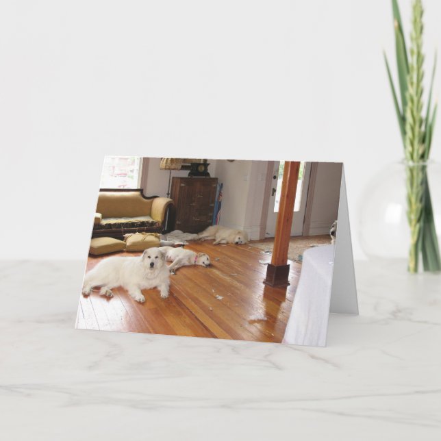 Wholesale destruction card (Front)