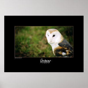 Whooie Poster