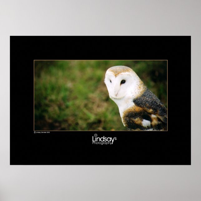 Whooie Poster (Front)