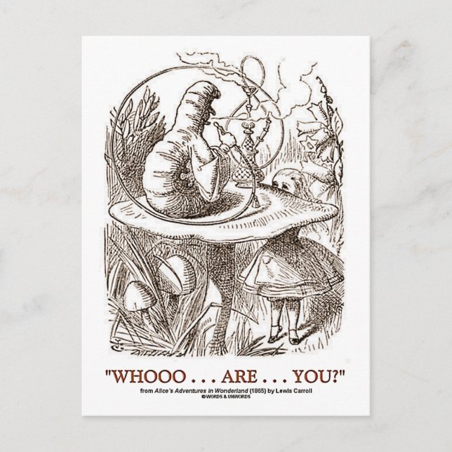 Whooo...Are...You? (Alice and the Caterpillar) Postcard (Front)