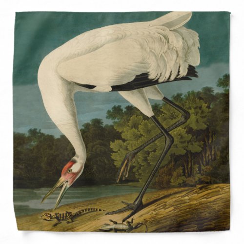 Whooping Crane Audubon Bird Painting Bandana