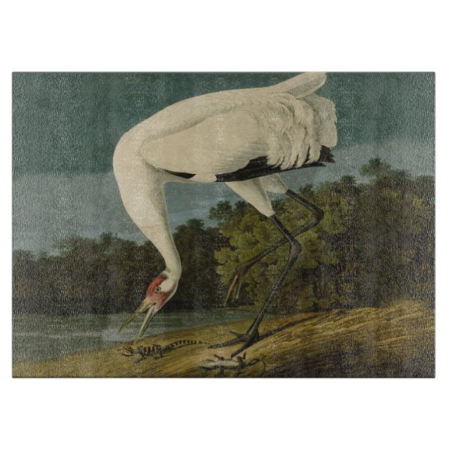 Whooping Crane Audubon Bird Painting Cutting Board (Front)