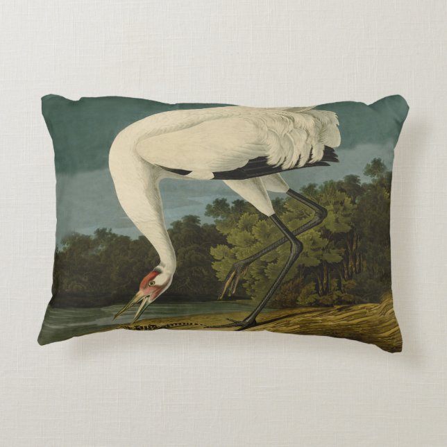 Whooping Crane Audubon Bird Painting Decorative Pillow (Back)